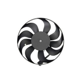 FAN SETİ 1AD DAVLUMBAZ 2AD FAN