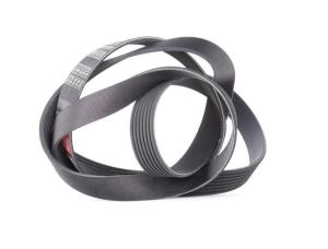 KANALLI V KAYIŞI (7PK1973)