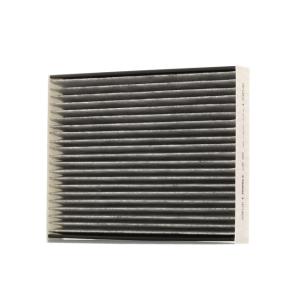 POLEN FİLTRESİ (KARBONLU)