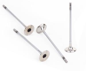 SUPAP TAKIMI (EMME+EGZOZ) (STELİTLİ)