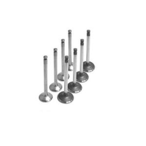 SUPAP TAKIMI (EMME+EGZOZ)