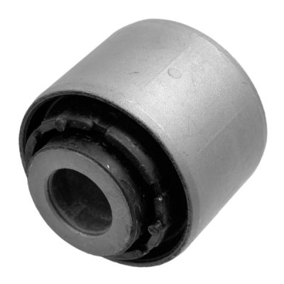 ARKA TAŞIYICI FİŞEĞİ