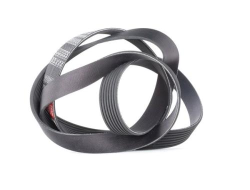 KANALLI V KAYIŞI (7PK1973)