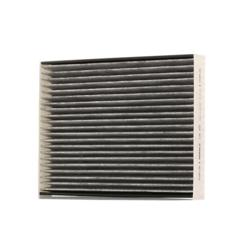 POLEN FİLTRESİ (KARBONLU)