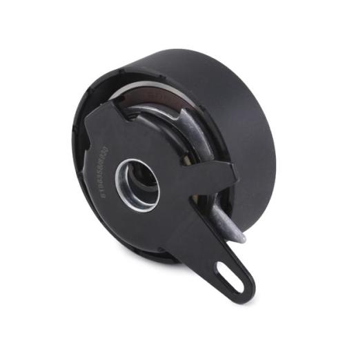 TRİGER GERGİ RULMANI